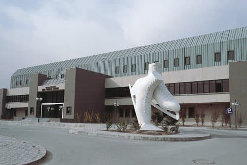 Bahçelievler Buz Pateni Sarayı (BELPA) — görünüm 1